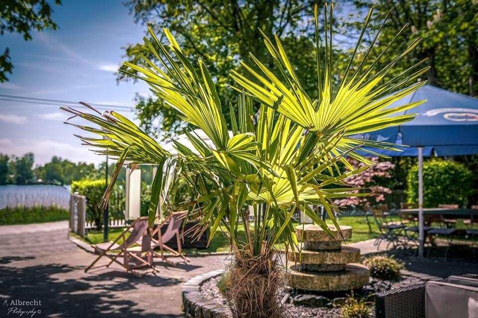 Sopherl Am See - Fruehstueck Auf Der Seeterrasse, Sehr Ruhig Und Wunderschoen Am See, 3 Minuten Nach Oberpfaffenhofen, Viele Radtouren, Restaurants & Cafes In Der Umgebung Wessling Exterior foto